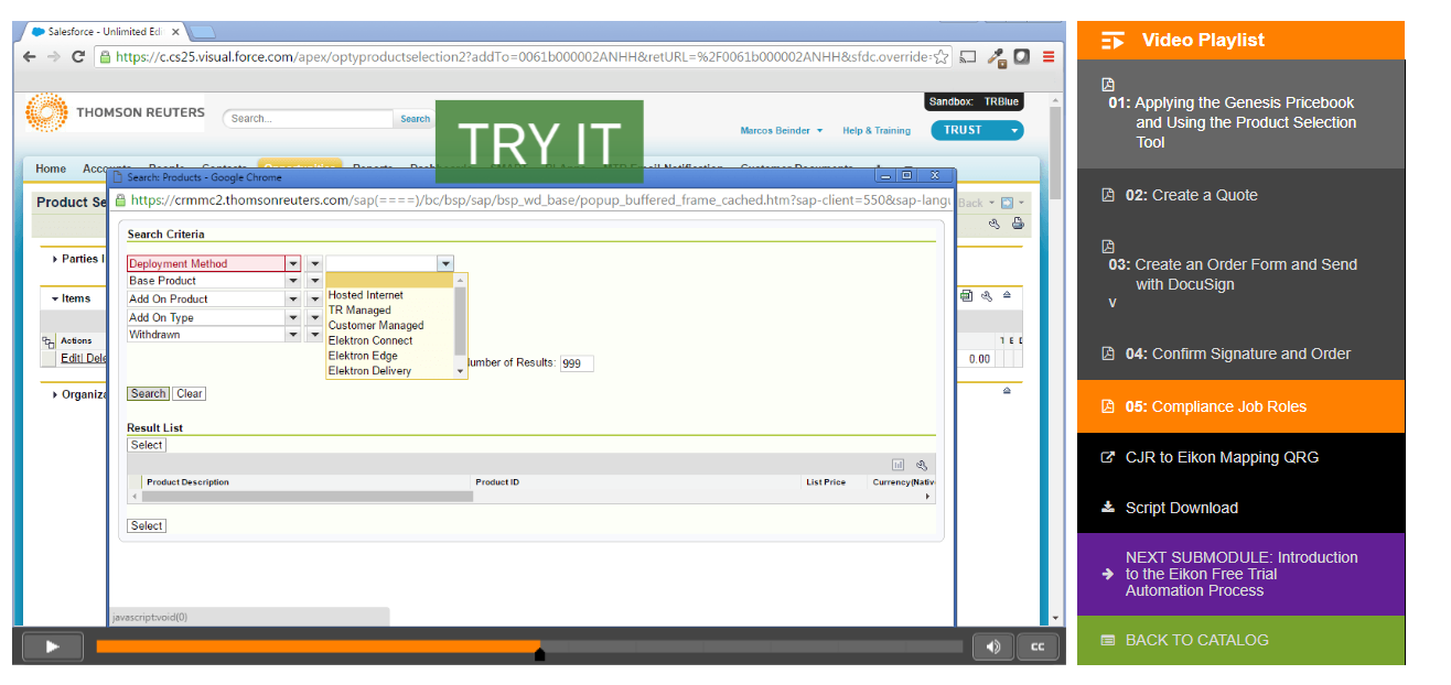Screenshot of TRY IT task in elearning